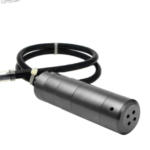 Transductor de Nivel Sumergible GLT570, Sensor de Nivel de Líquido Corrosivo de PTFE - Product Image 1