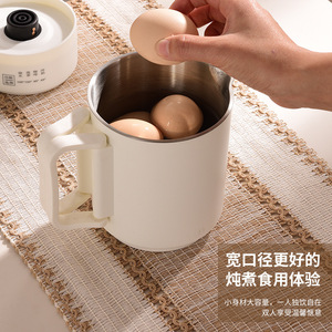 Electric Kettle 800 Ml Multi Temperature Control For Tea Brewing And Milk Making - Product Image 3