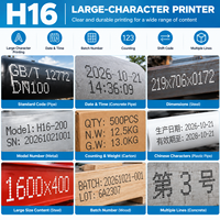 H16 10-60mm Metal Boru El Tipi 6cm Büyük Karakterli Tahta Tarih Parti Numarası Logo Baskı Mürekkep Püskürtmeli Yazıcı Taş Demin