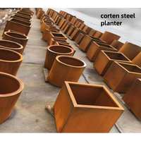 Lit de jardin surélevé en acier pour jardinière de fleurs potagères Bord Corten Jardinière Lits