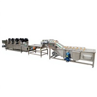 Yoursjoys Mango Pulp Verwerkingslijn Volledig Automatisch voor Fruit & Groenten Multi-Voltage (220V/110V/380V) 500kg Capaciteit