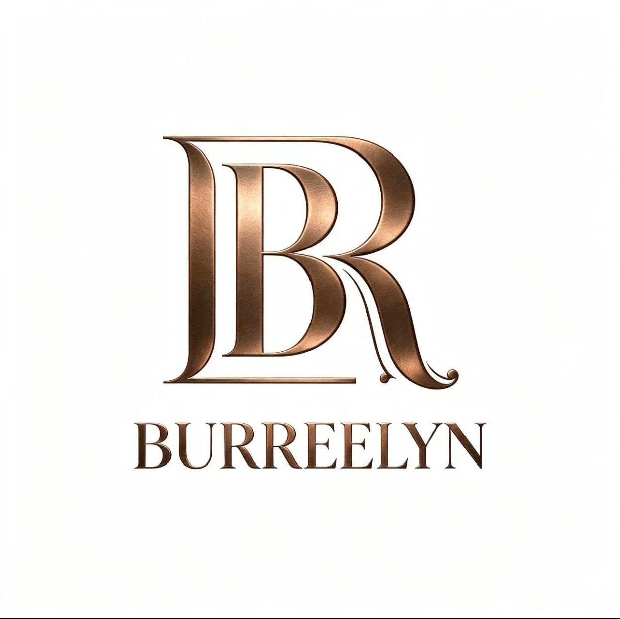 Shenzhen Burreelyn Technology Co., Ltd. logo