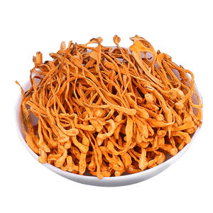 Extrait de Cordyceps Militaris biologique de haute qualité meilleur champignon séché <span class=keywords><strong>comestible</strong></span> naturel Cordyceps Militaris - Product Image 6