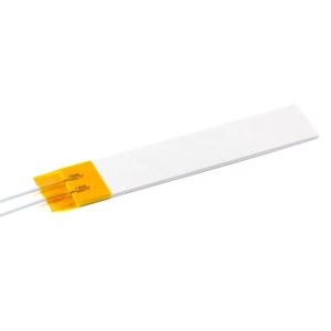 Placa calefactora MCH de cerámica de alta temperatura RP1570, calentador eléctrico de 1000 grados 1R 2R 5R 10R 20R 230R 15*70mm - Product Image 3