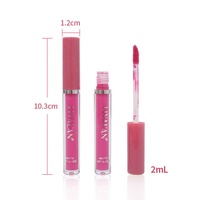 Vente en gros de gloss à lèvres de maquillage en 6 couleurs, gloss à lèvres nude végétalien imperméable, rouge à lèvres liquide mat, ensemble de rouge à lèvres