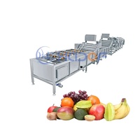 Nieuwe industriële sorteermachine voor perziken en uien, 2000 kg/uur, SUS 304 roestvrij staal, laag energieverbruik, hoge efficiëntie, waterbeltechnologie