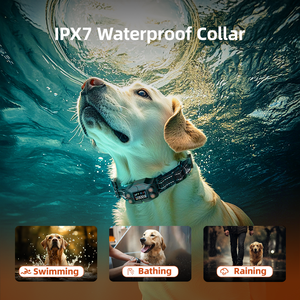 GPS portátil inalámbrico cerca para perros satélite posicionamiento Global sistema de contención de perros eléctrico GPS cerca para perros collar de choque - Product Image 6