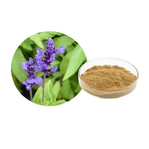 100% estratto di foglie di salvia in polvere 20:1 foglia di salvia P.E estratto di salvia 10:1