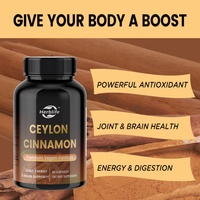 Capsules de cannelle de Ceylan pure OEM sous marque privée – Antioxydant et soutien immunitaire – Compléments de cannelle de Ceylan pour hommes et femmes