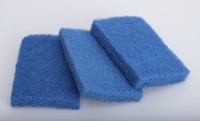 Tampons à récurer plus épais nylon/polyester et matière première type de rouleau ou taille personnalisée OEM polyester fil d'acier inoxydable éponge