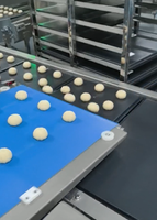 Machine d'alignement et d'agencement multifonctionnelle de haute qualité ADMF pour pains, toasts, pâtisseries, biscuits, gâteaux de lune, maamoul – Équipement de boulangerie