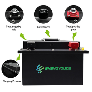 Smart Lithium Golf Cart <b>Battery</b> <b>12V</b> 24V 48V 100Ah 200Ah 48volt <b>Batteries</b> Car Pack - Product Image 6