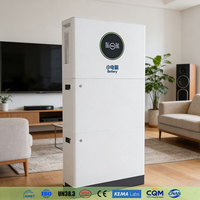 Batterie hybride de réseau divisée au phosphate de fer et de lithium 51,2 V 100 Ah 5 kWh 10 kWh 15 kWh 20 kWh 30 kWh