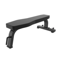 Banc de musculation réglable et pliable pour haltères, banc plat pour entraînement corporel