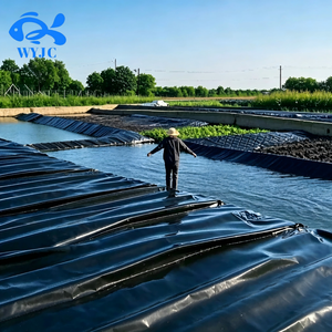 Géomembrane antioxydante en HDPE, membrane imperméable pour les bassins de traitement des eaux usées, les digesteurs de biogaz, les fermes piscicoles, les lacs artificiels - Product Image 6
