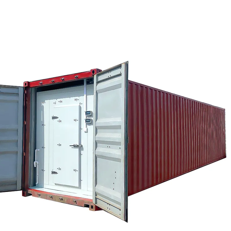 20ft refeer container Tủ đông container 20ft quy mô lạnh phòng lưu trữ dễ dàng để hoạt động 20ft container đông lạnh để bán