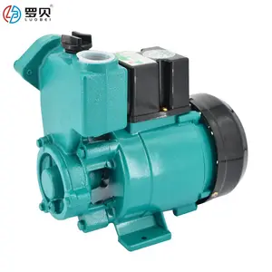 Portable Electric Vacuum Self-priming Water Pump 250W High Pressure Well Water Lifting Pump