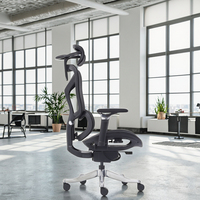 Chaise de bureau exécutive ergonomique moderne en maille, certifiée avec vérin à gaz de classe 4, support lombaire réglable et base pivotante ouverte