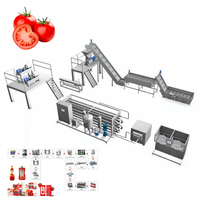 Multifunctionele industriële volautomatische tomatensausverwerkingslijn met machine voor het maken en vullen van fruitsap