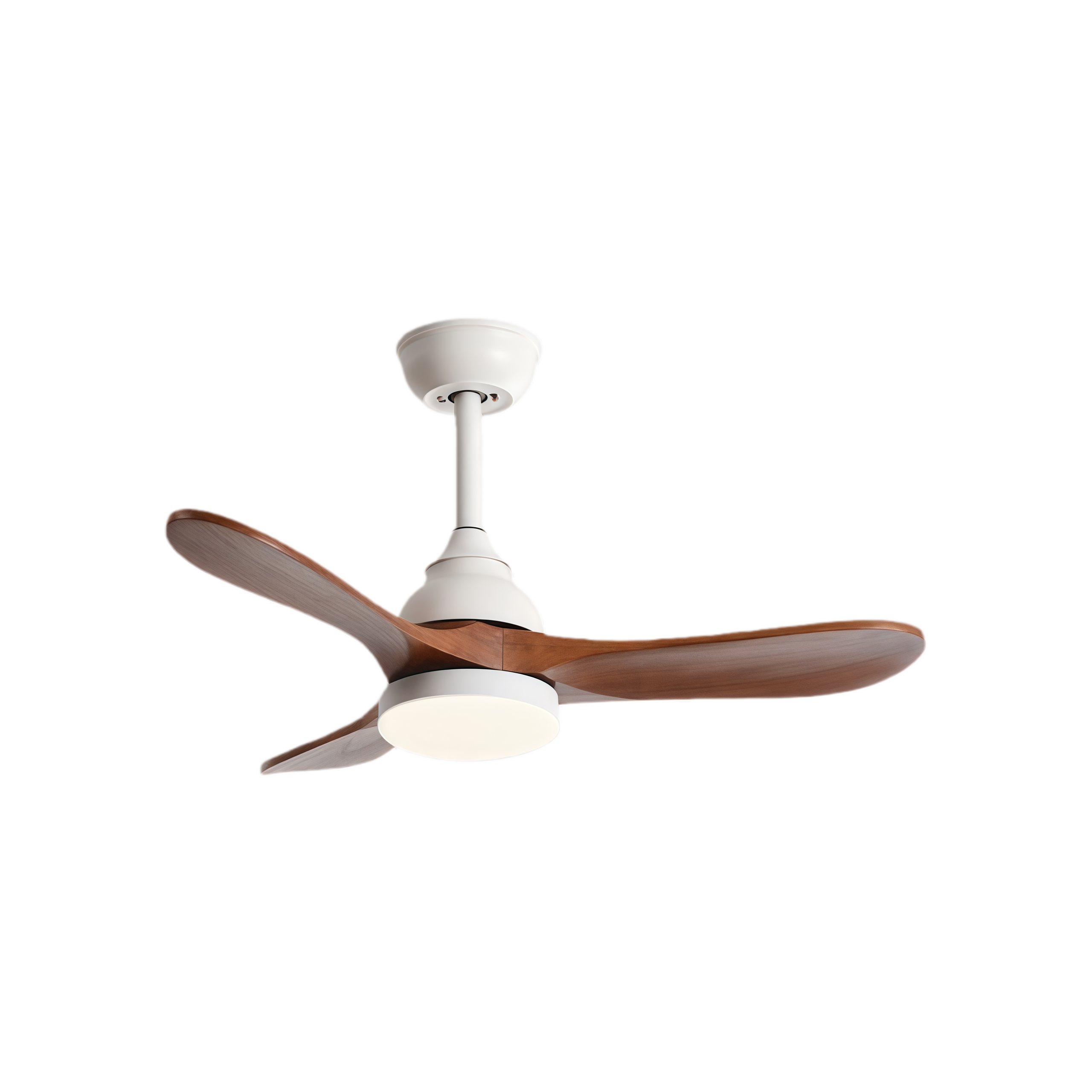 วอลนัทขาว