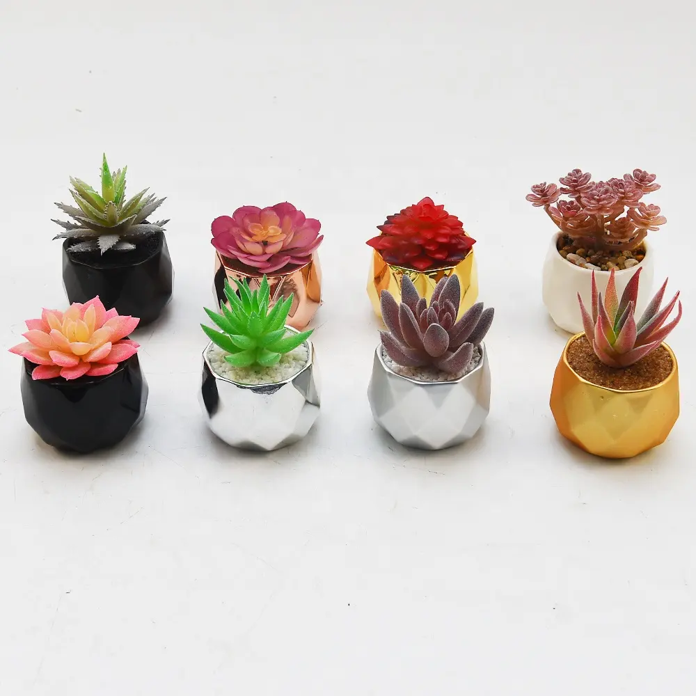 Succulentes artificielles pour pot succulent en forme de dent d'intérieur plante artificielle moderne décorée de fleurs en plastique succulentes