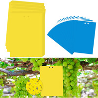 Pièges à mouches collants bleus et jaunes, planche adhésive double face pour insectes pour jardins et vergers