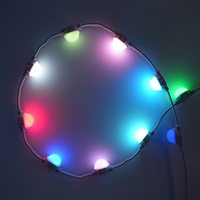 Luces LED Puntuales XQD de Alto Brillo, Resistentes al Agua IP67, RGB Multicolor, CRI 90, para Iluminación de Paisajes Exteriores y Parques Temáticos
