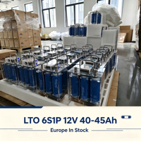 Pack de batteries LTO Yinlong 12V 40Ah 45Ah 6S1P pour système d'alimentation de secours en environnement froid