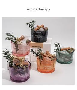 Wholesale Personalized Customized Flower Potted Plant Aroma Fragrance Scented Ceramic Stone <b>Diffuser</b> Gift Set for Air Freshener - Product Image 2