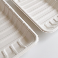 Filmlamineerde composteerbare suikerrietbagasse vezel wegwerpbaar vlees- en fruitplateau voor supermarkten