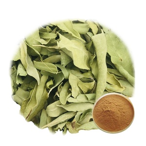 Manufacturer Supple <strong>Dogbane</strong> Leaf Extract /Apocynum Venetum Extract Powder - Product Image 1
