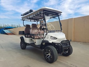Voiturette de golf électrique personnalisée avec des performances stables pour le transport dans les complexes hôteliers et les parcs - Product Image 3