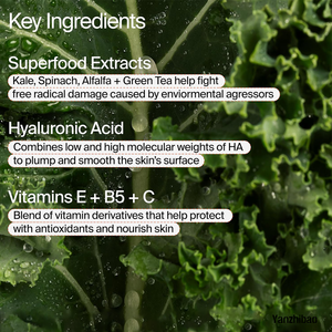 Crème hydratante pour le visage au thé vert antioxydant OEM Kale avec acide hyaluronique, crème lissante hydratante pour le teint, non comédogène - Product Image 4