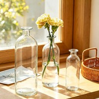 Vase à fleurs pour la maison, vase en verre transparent, style INS, petit diamètre, vase hydroponique transparent, décoration de bureau et de maison