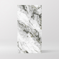 Carrelage en porcelaine effet marbre blanc brillant avec veines gris foncé, 60x120cm, résistant aux taches, disponible pour OEM, fabriqué en Chine