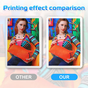 罗兰特鲁维思TR2打印机用带芯片的Xcellent生态溶剂墨袋Tr2 500毫升 - Product Image 4