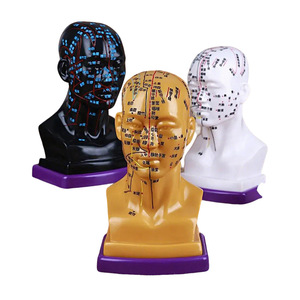 Modèle d'acupuncture de tête haute définition avec points gravés, visage complet en PVC, pour démonstration pédagogique, réutilisable, pour exposition - Product Image 3