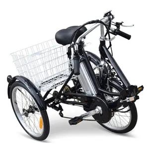 전기 자전거, 전기 자전거, 2023 신제품 핫 세일 20 인치 36V 250W LED 디스플레이 세 바퀴 전기 세발 자전거