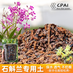 Substrat granulaire pour orchidées Dendrobium Cpai, terre spécifique pour la culture des fleurs - Product Image 1