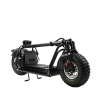 2023 1000W moteur sans balais 48v certificat ce gros pneu cadre en acier 14 pouces BIHONG scooter électrique