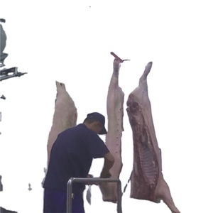 Moderna Hog Macellaio Macchina Per La Madre <span class=keywords><strong>Carne</strong></span> di Maiale Macellazione - Product Image 1
