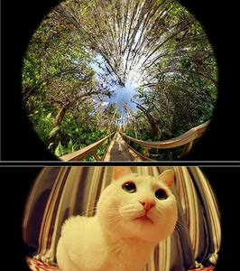 เลนส์มาโคร CPL Fisheye มุมกว้าง,สำหรับโทรศัพท์มือถือกล้องโทรทรรศน์5 In 1ออกแบบใหม่ได้ตามต้องการปี<span class=keywords><strong>2022</strong></span> - Product Image 3