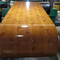Bobina de Acero Galvanizado con Recubrimiento de Color PPGL, Superficie Mate, PPGI PPGL para Material de Construcción