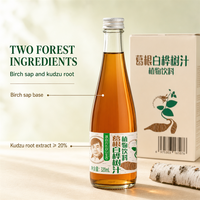 Boisson quotidienne légère à faible teneur en calories à l'extrait de Pueraria, boisson botanique hydratante pour le brunch, les voyages, le bureau, le sport, le matin, saine