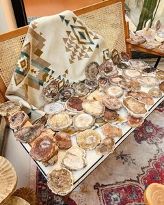 Produits de guérison spirituelle en cristal naturel dalle de bois pétrifié poli pour la décoration intérieure - Product Image 3