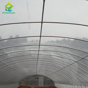 Invernadero de túnel agrícola, invernadero de <span class=keywords><strong>caracol</strong></span>, comercial, Ghana - Product Image 4