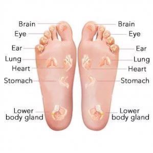 Massager Shiatsu Machine With Kneading Vital Care Products Leg Calf <span class=keywords><strong>Nugabest</strong></span> Foot <span class=keywords><strong>Massage</strong></span> - Product Image 2