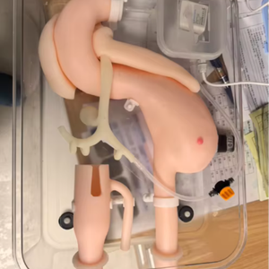 ERCP Model Gastroskopi Cerrahi Eğitim Modeli, ERCP Operasyonu, Duodenoskop Uygulaması, Yüzüstü Pozisyon (Başsız) - Product Image 1