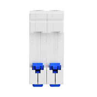 Interruptor Automático Miniatura Profesional de 2 Polos Chint Factory MCB-DZ47 NXB-63 Tipo C, Dispositivo Eléctrico que Cumple con las Normas CE, DP MCB de 1 a 63A