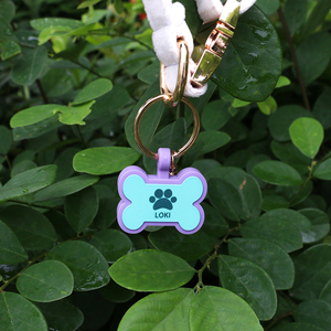PAISEN Pet Outdoor Zubehör Personal isierte benutzer definierte Erkennungs marken Gravierte 3D QR Code Hunde Katzen halsband Silikon Pet Tag - Product Image 6